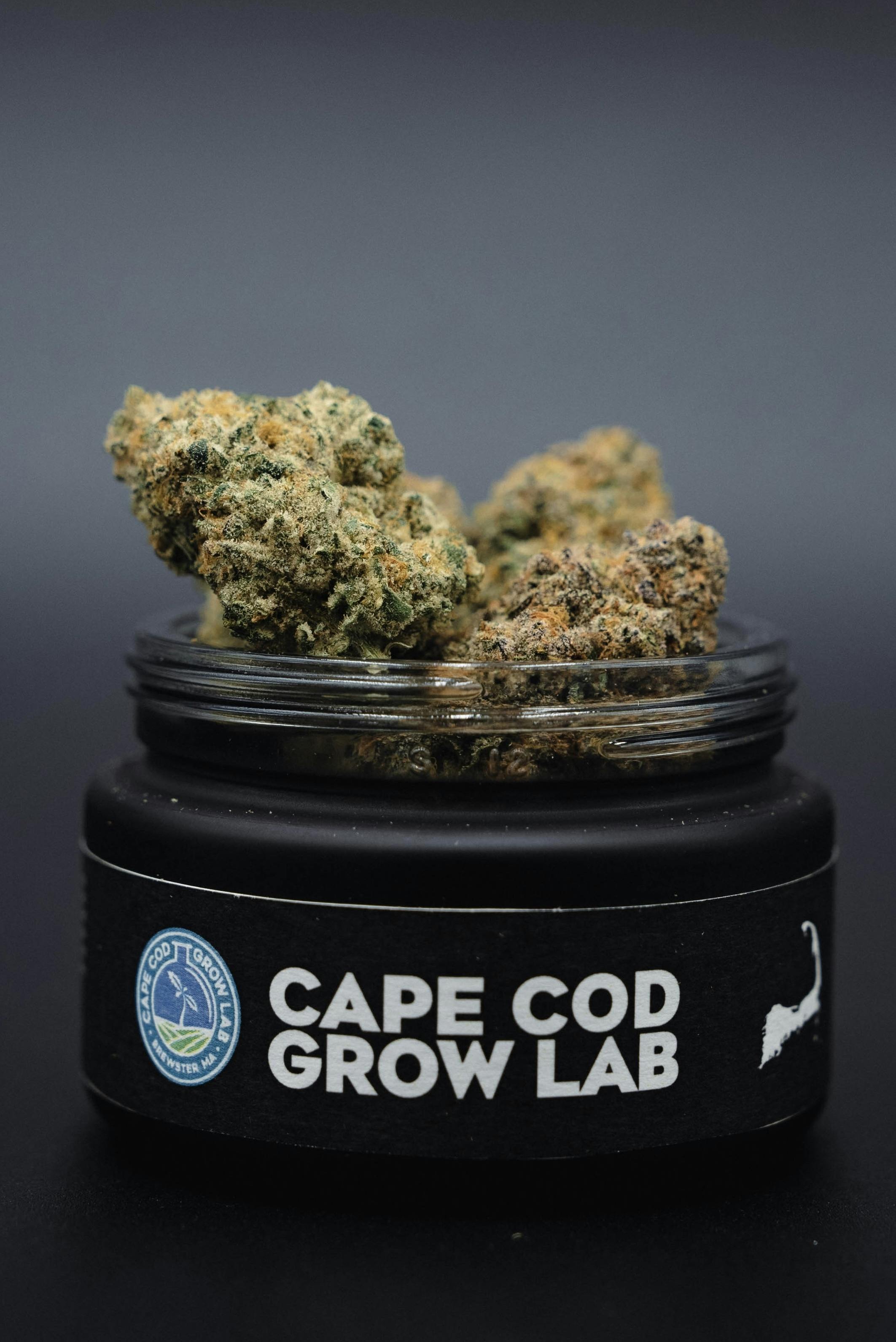 Cape Cod Grow Labs | Cape White Shark (H) | 3.5g Flower