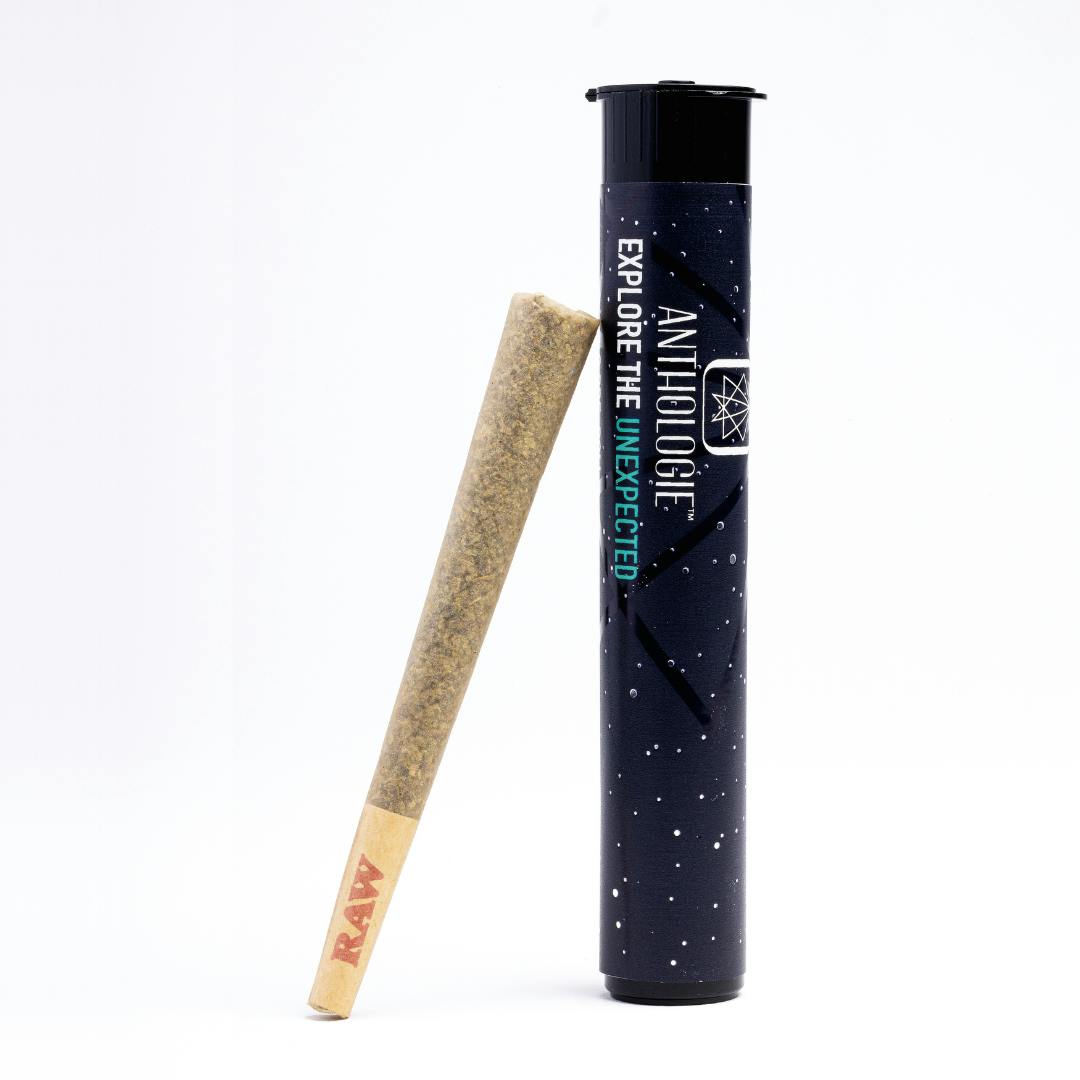 Anthologie | Purple Punch (I) | 1.0 Pre-Roll