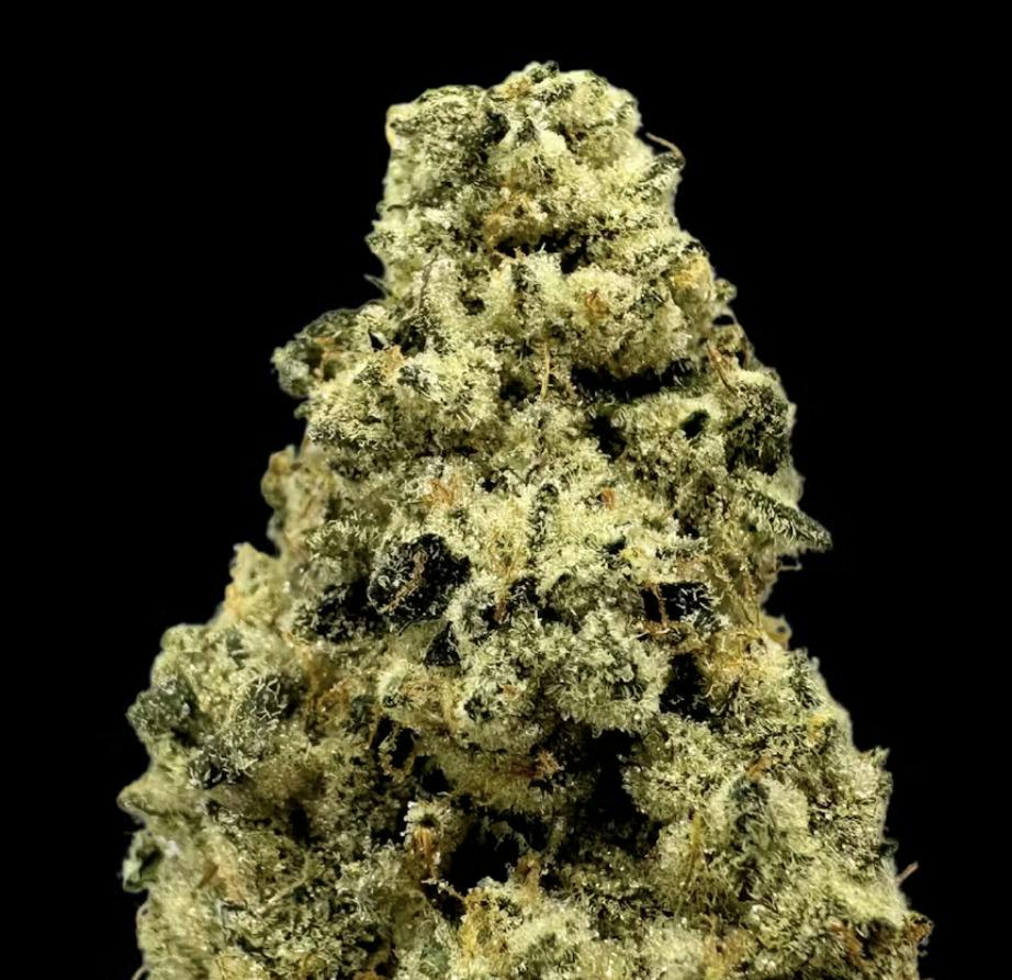 Mary | Flower