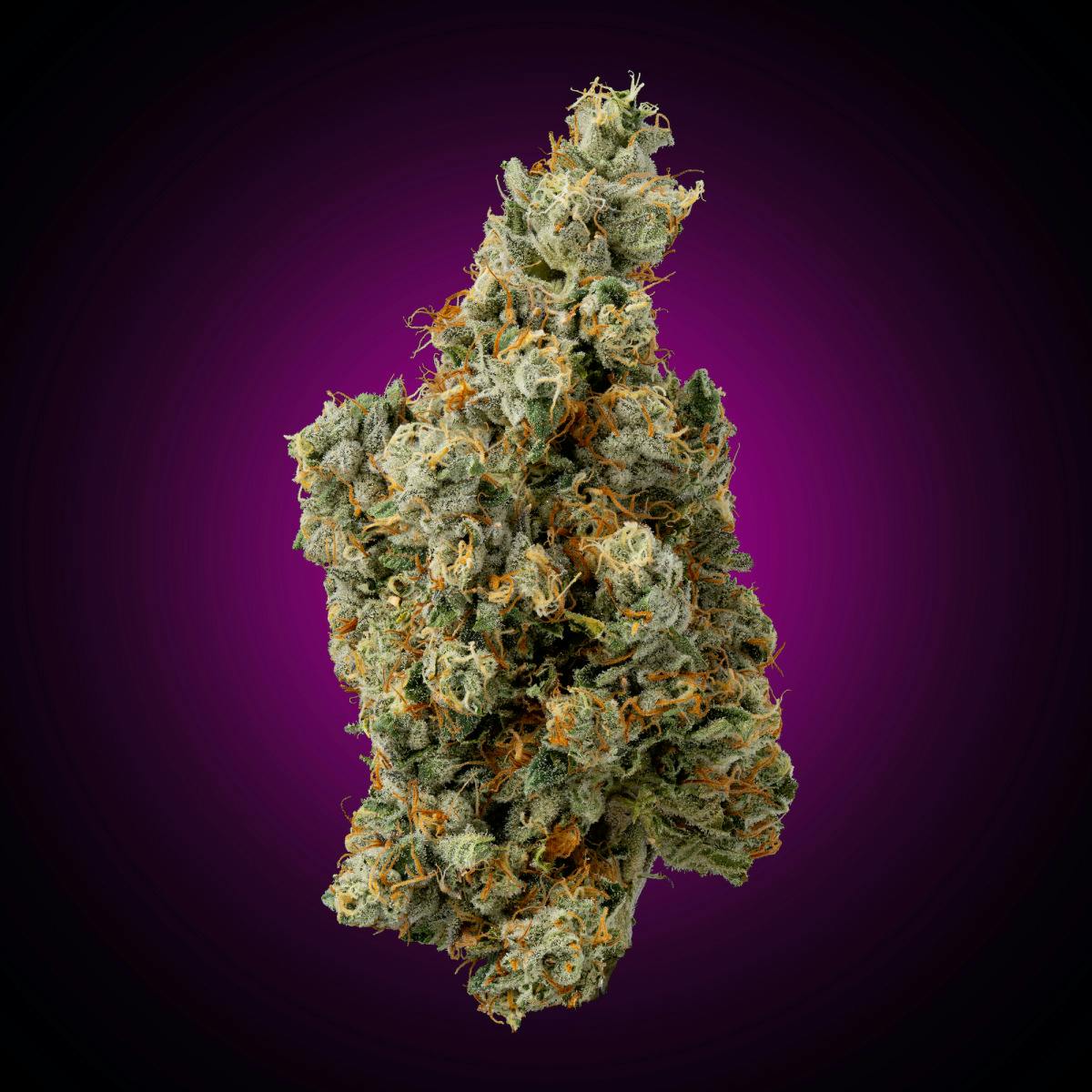 Purple Fire OG - 3.5g Flower