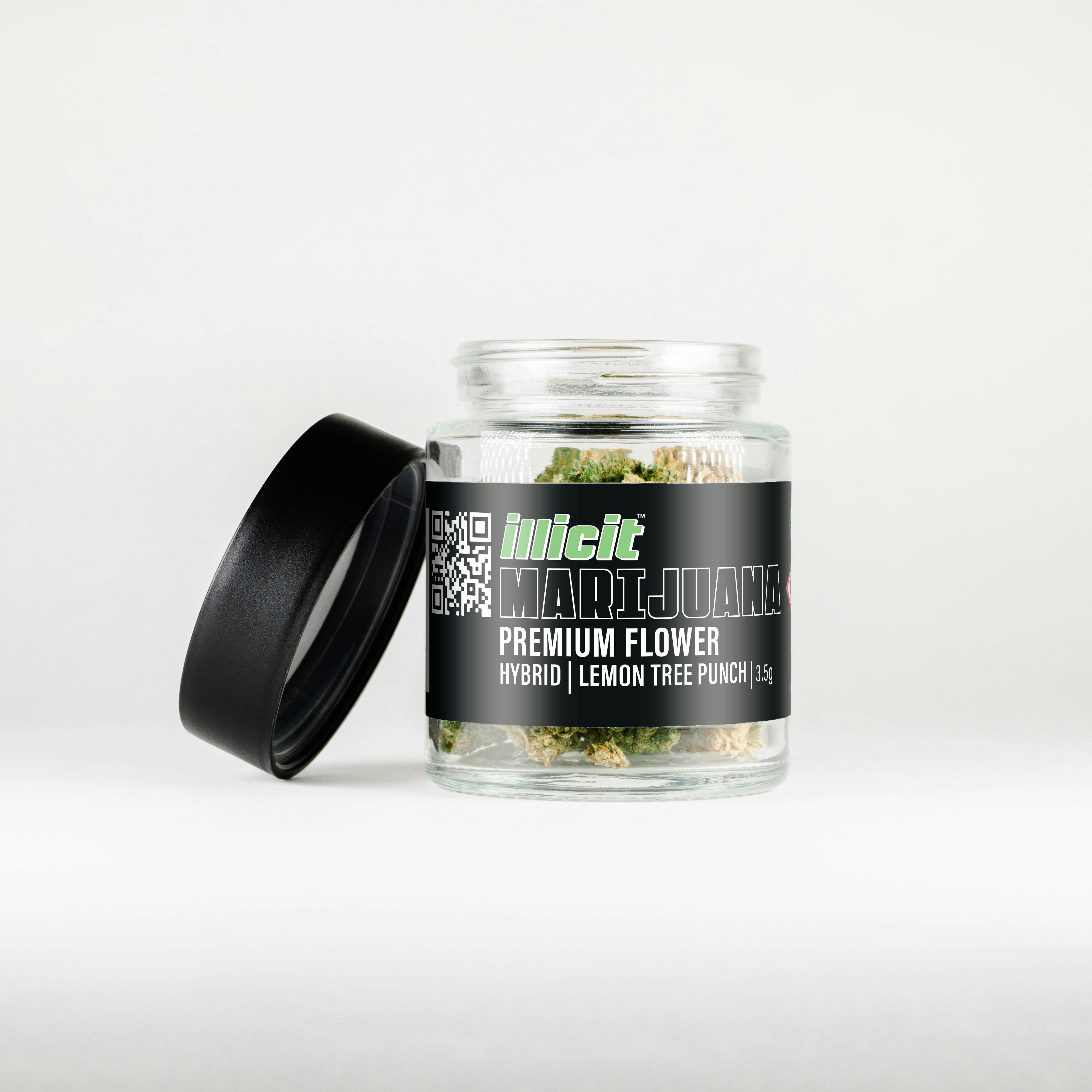 Illicit: Flower | Lemon Tree Punch