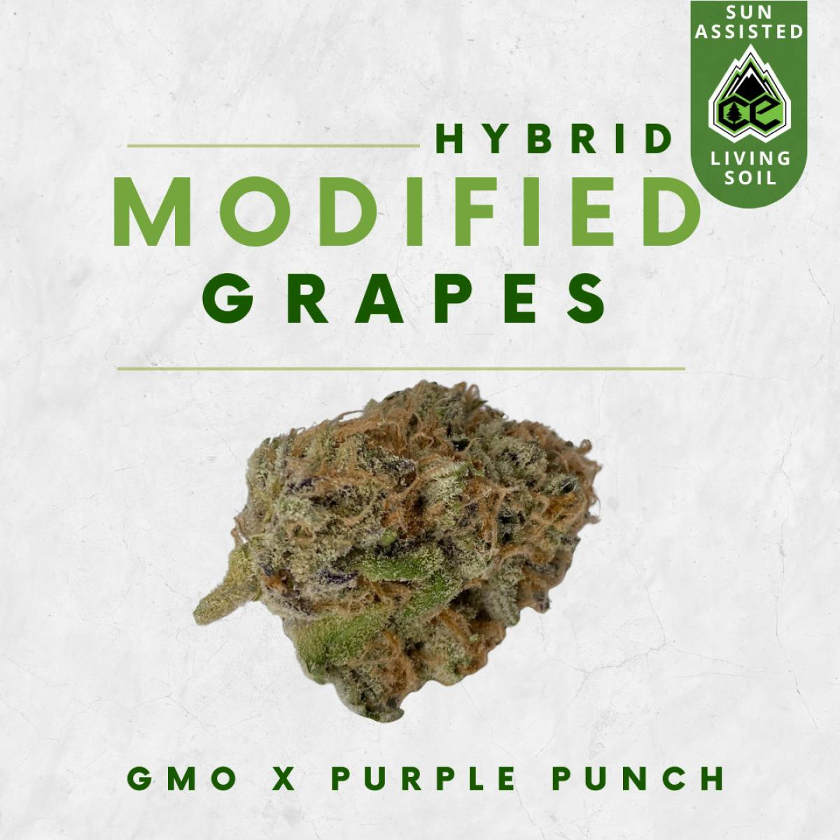 Modified Grapes