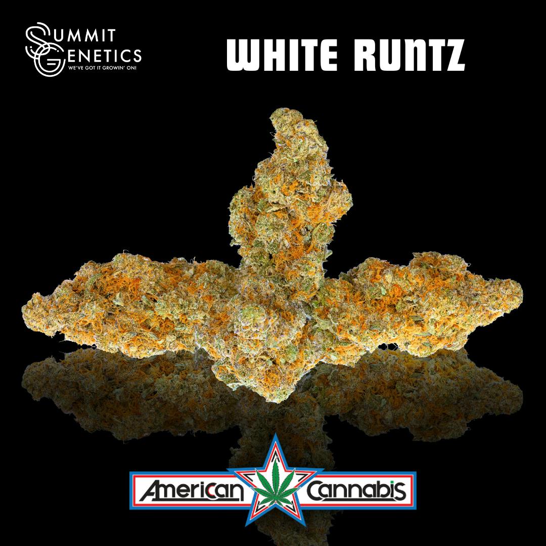 [Flower] Summit Genetics White Runtz 3.5g [Hybrid]