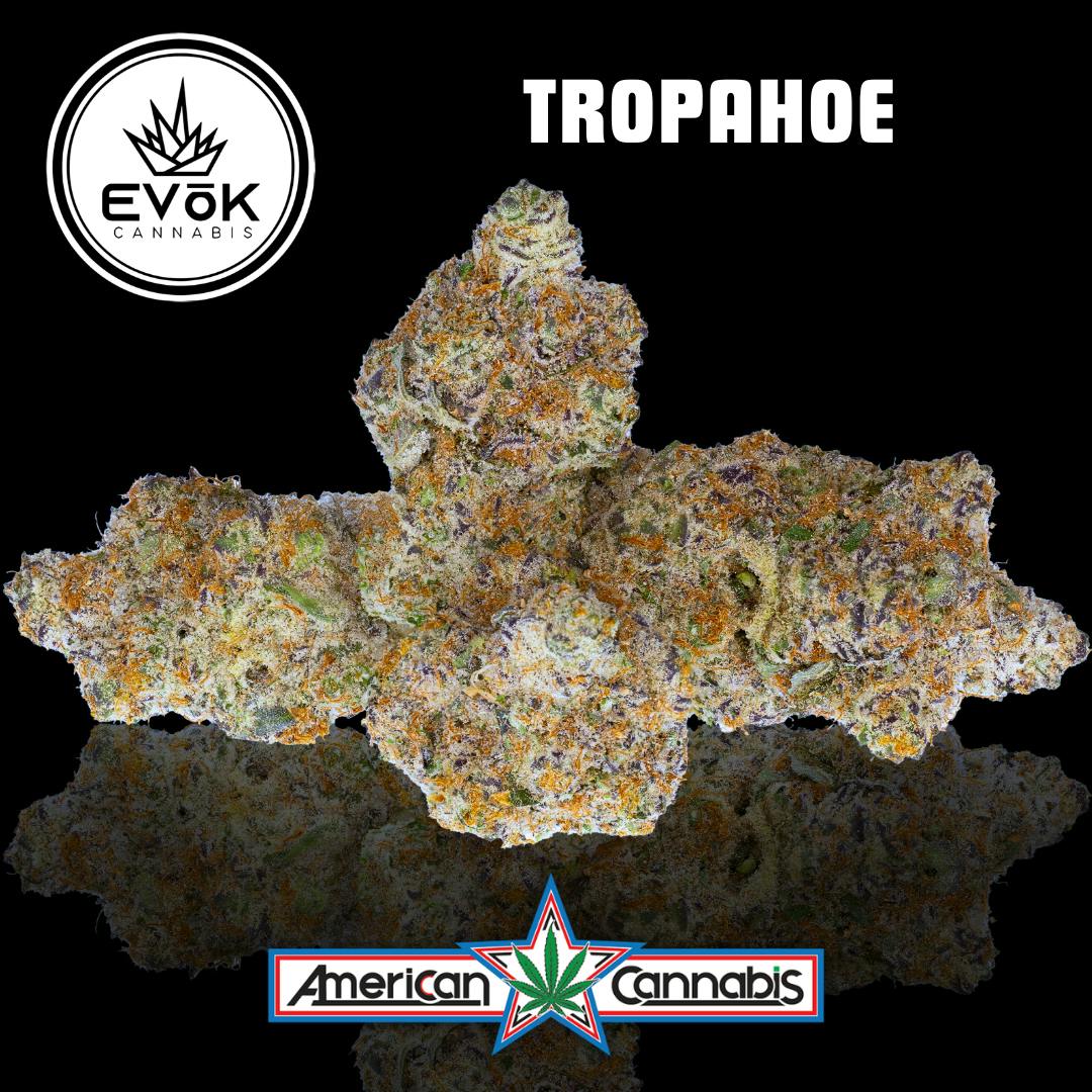 Tropahoe