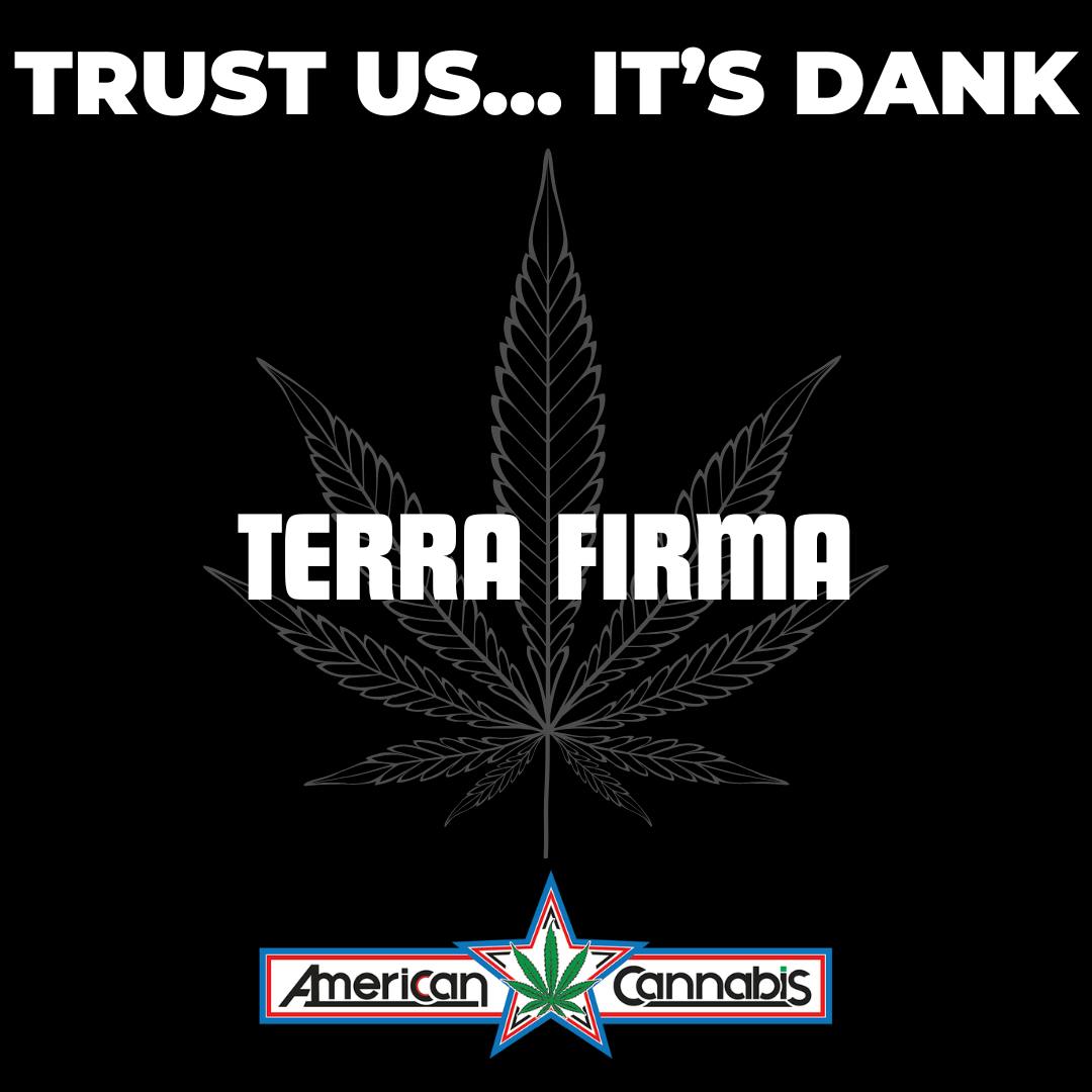 [Flower] Terra Firma Hot and Sour 14g [Hybrid]