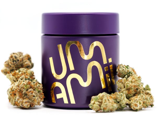 Flower | Georgia Apple Pie | Hybrid | 3.5g