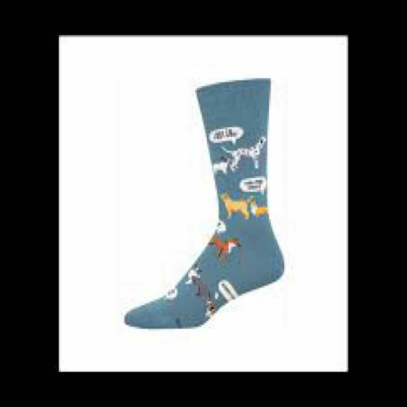 $10 | New Dog Who Dis | Blue | Socksmith