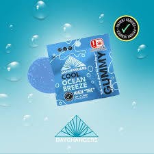 $5 | 250mg High THC Gummy SINGLE | Day Changers | Cool Ocean Breeze