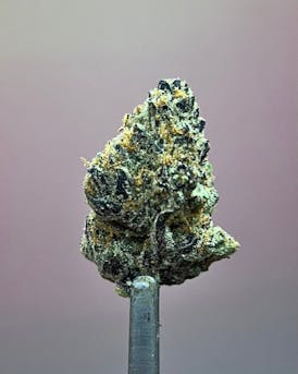Sundae Driver | Top-Shelf | Heartland Farms | B#HF2-H177-SD-R2 (1177)