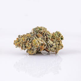 Gyatt Zamn | Top-Shelf Flower | ALTVM | B# 421-040425-J (26308)