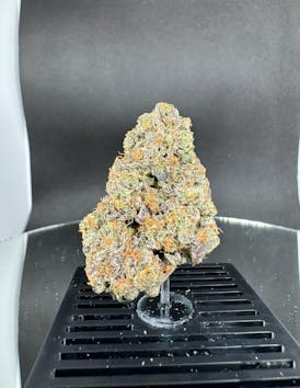 Deep Fried Ice Cream | Top-Shelf Flower | ALTVM | B# 421-040425-H (26307)