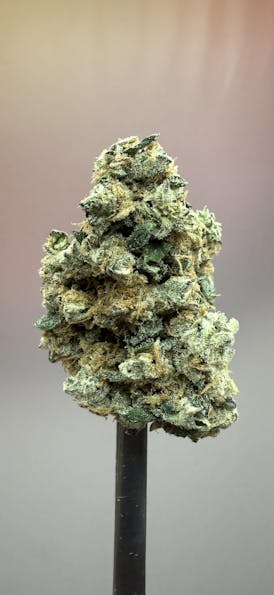 Alien Burger | Top-Shelf Flower | Great Spirits | Batch#17603 (5826-5825)