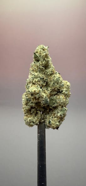 Cap Junky | Top Shlef Flower | Great Spirits | B# 17729 (36542)
