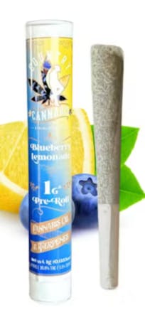 $8 | 1g Infused Preroll | Country Cannabis | Blueberry Lemonade