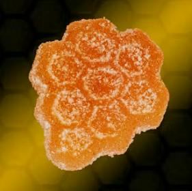 $45 | 2000mg Live Resin Gummy Pack | Noble Nectar | Sour Blue Razz