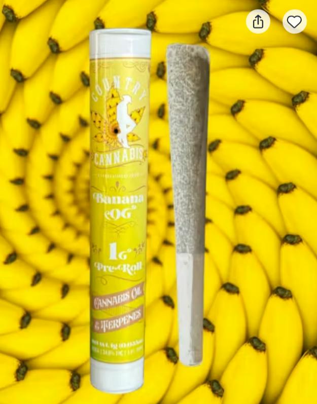 $8 | 1g Infused Preroll | Country Cannabis | Banana OG