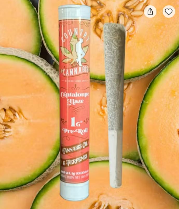 $8 | 1g Infused Preroll | Country Cannabis | Cantaloupe Haze