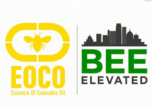 $15 | 1ml FECO | Bee Elevated | GMO