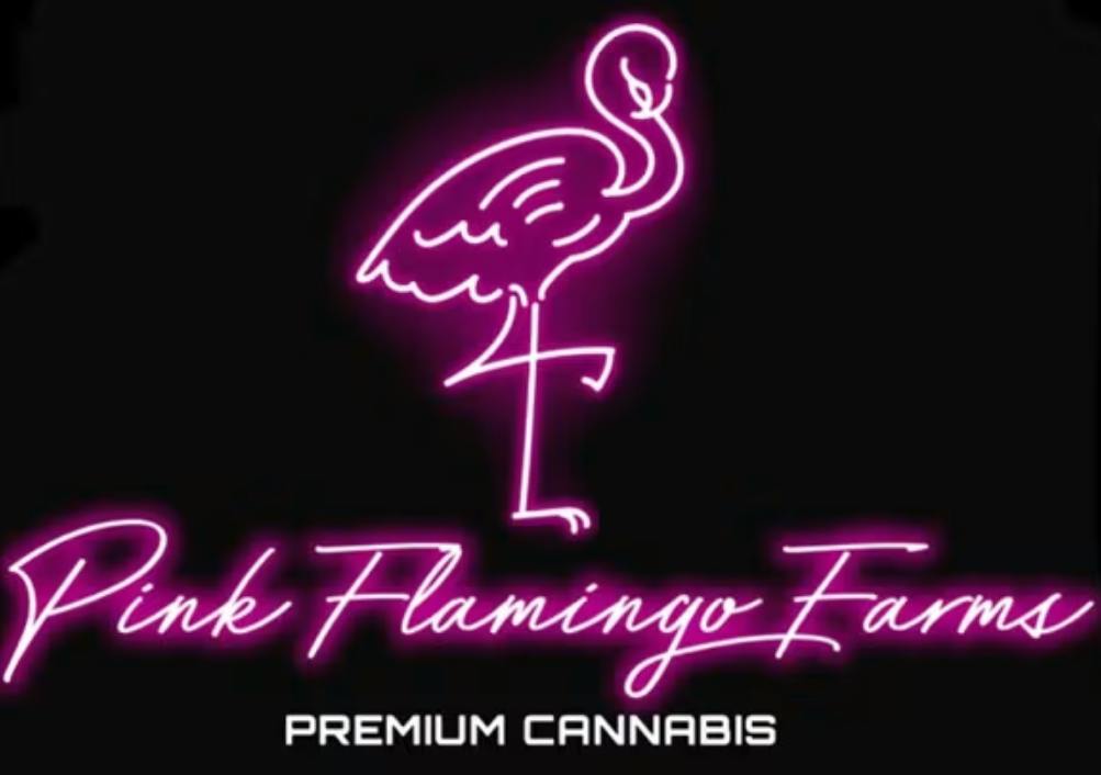$40 | 1g Hash Rosin | Pink Flamingo | 918 Blue Garlic