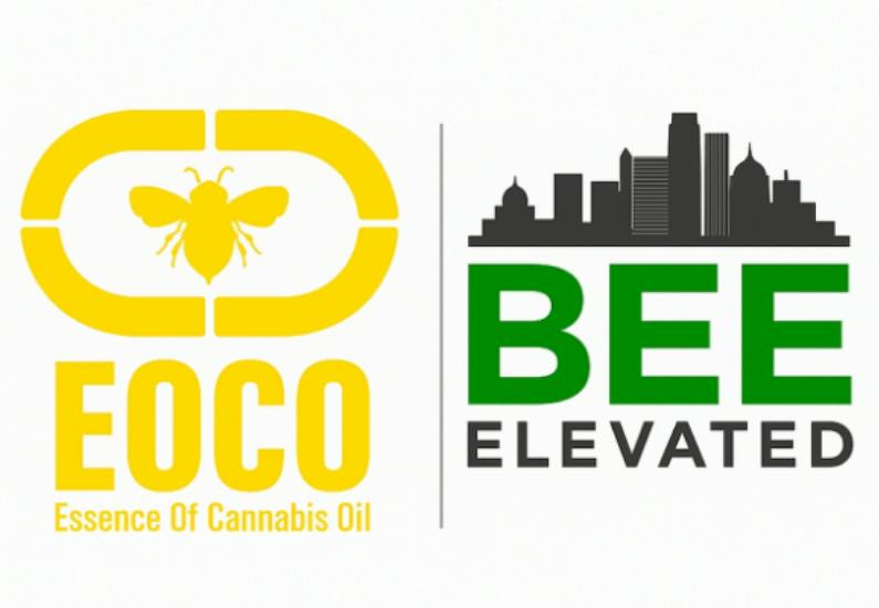 $15 | 1ml FECO | Bee Elevated | OG Kush