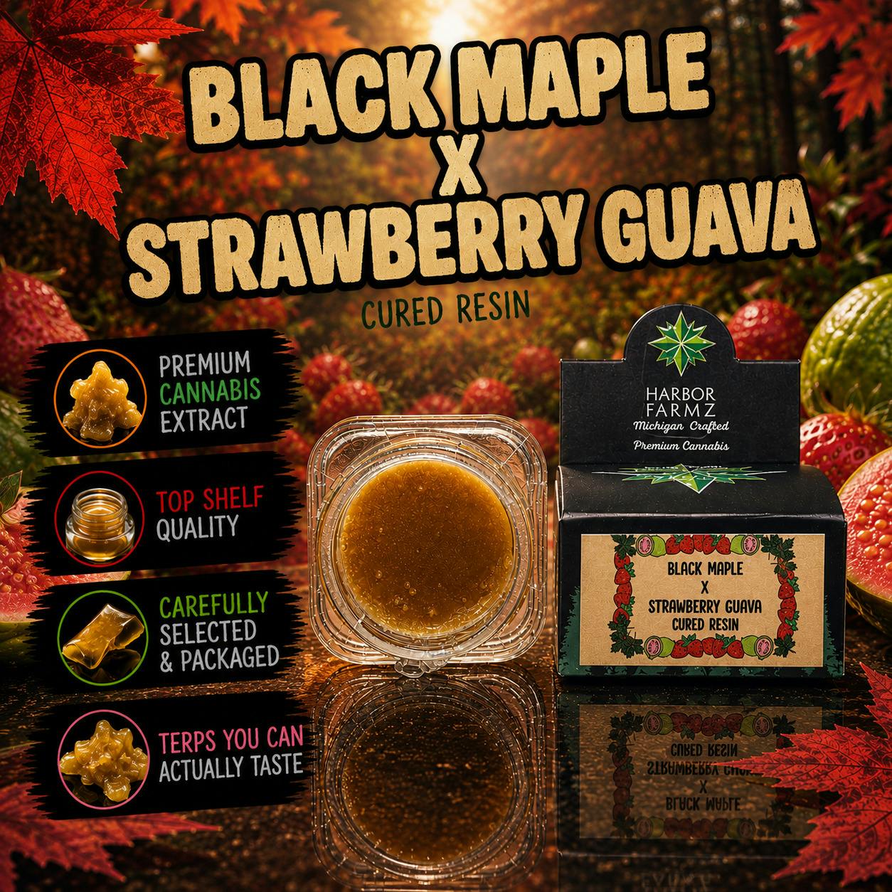 Harbor Farmz | Black Maple x Strawberry Guava | Hybrid | 3.5G | Cured Resin | REC