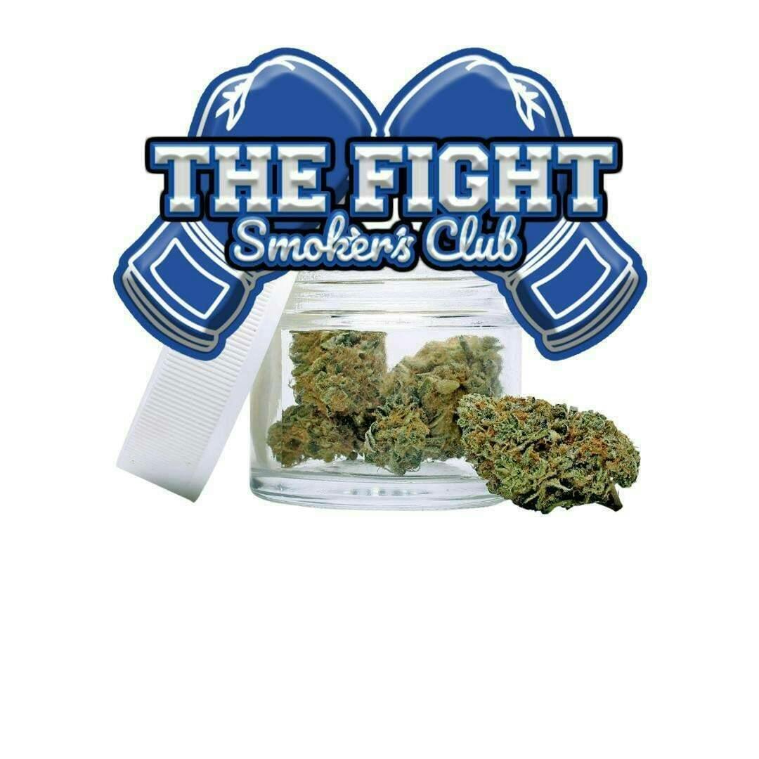 The Fight - Jealousy | 28G