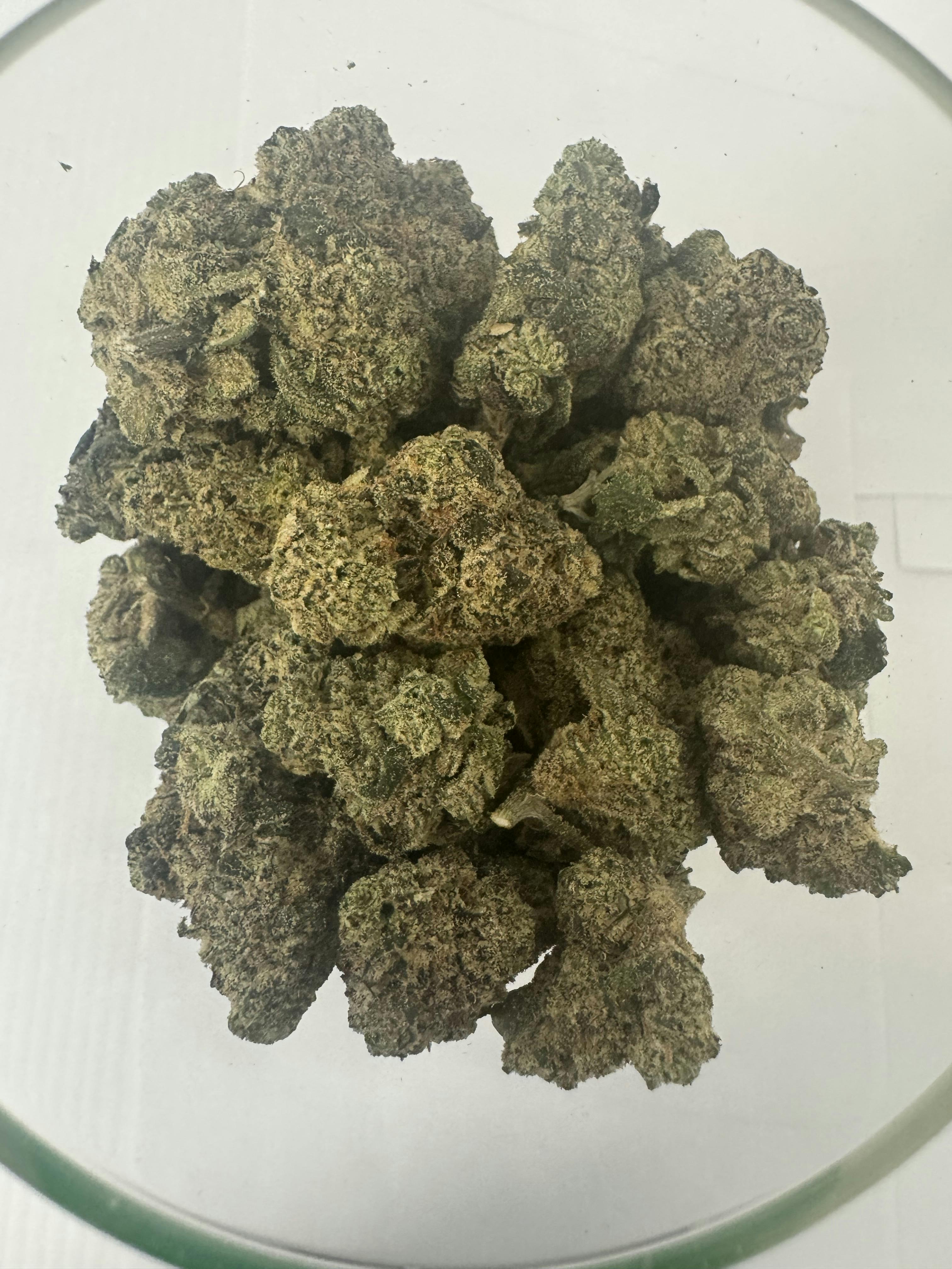 Bulk Flower - Mellowz at Capital Dank Battle Creek