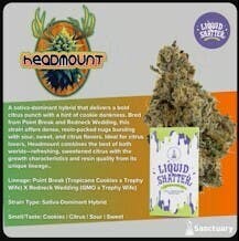 Headmount Shatter | 0.5g - Sanctuary at Collective Premium Cannabis Billerica