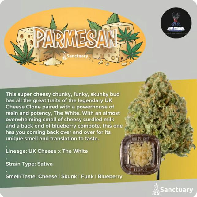 Parmesan Crumble | 1g - Volcanna at Collective Premium Cannabis Billerica