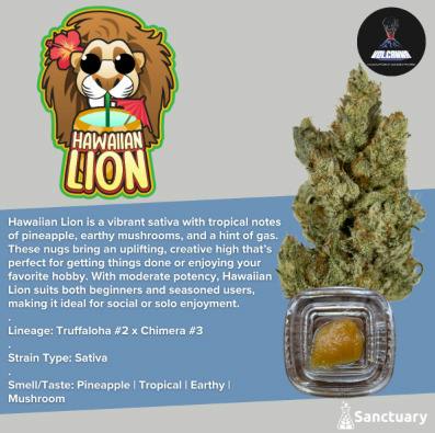 Hawaiian Lion Sauce | 1g - Volcanna at Collective Premium Cannabis Billerica