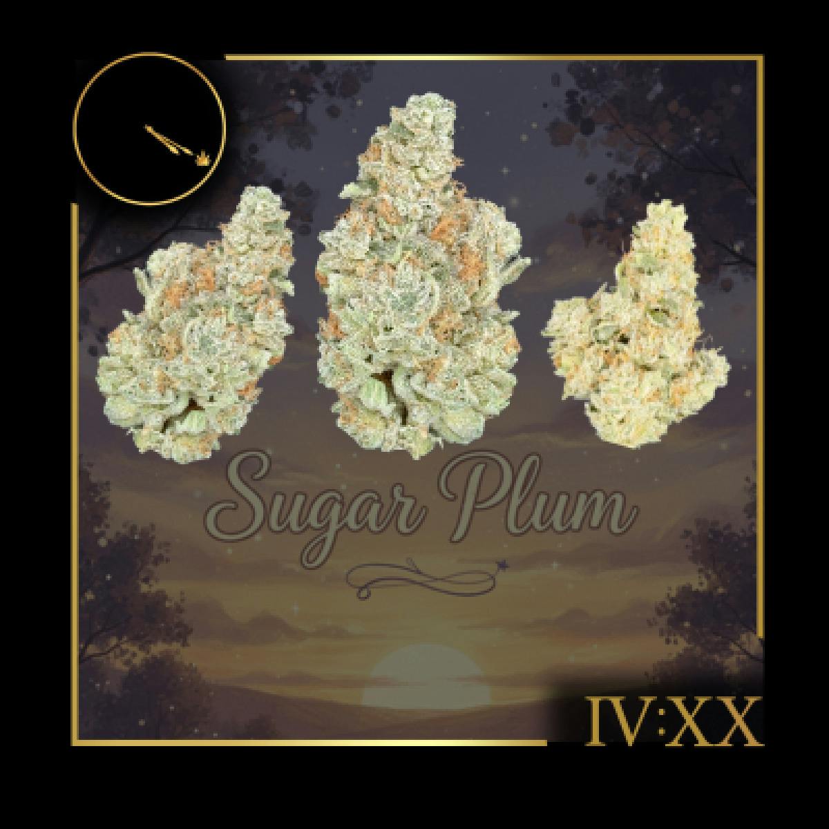 Sugar Plum Sunset Flower | 3.5g - Zipz