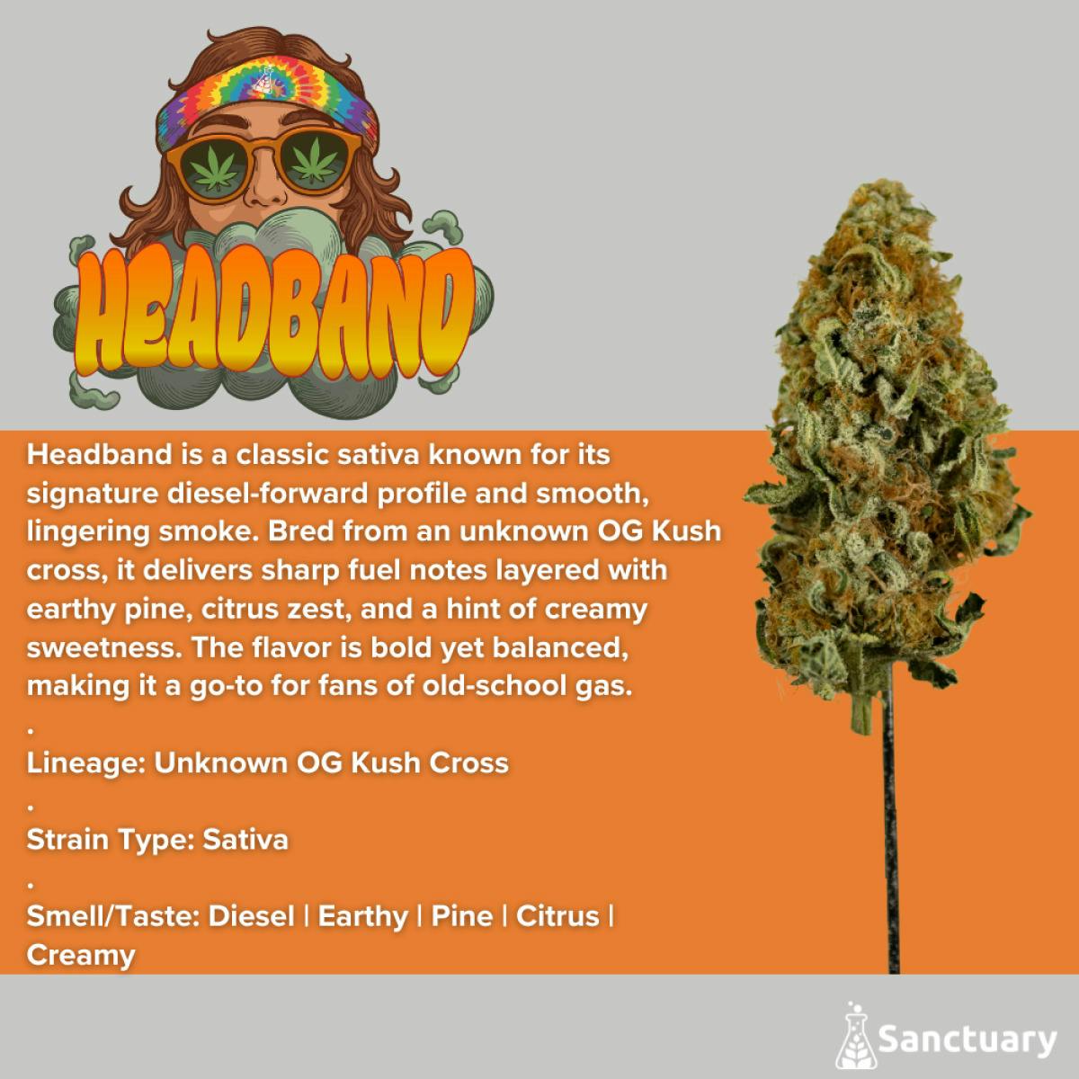 Headband Flower | 3.5g - Sanctuary