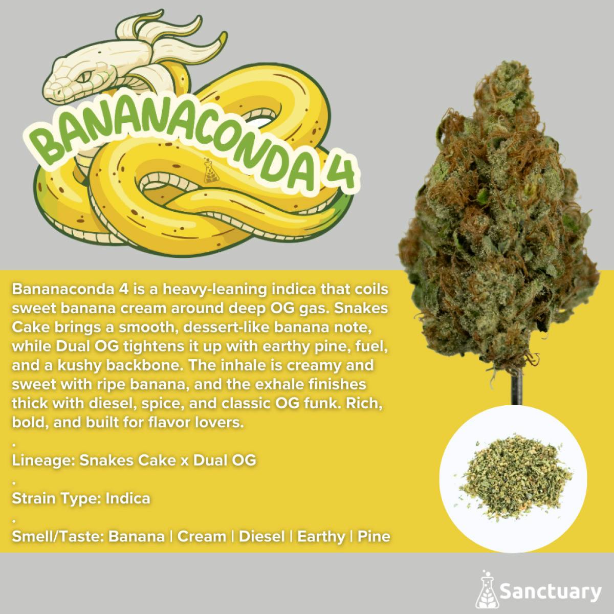 Bananaconda #4 Ground Shake | 7g - Sanctuary