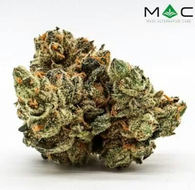 Special Ops Small Buds | 7g - MAC