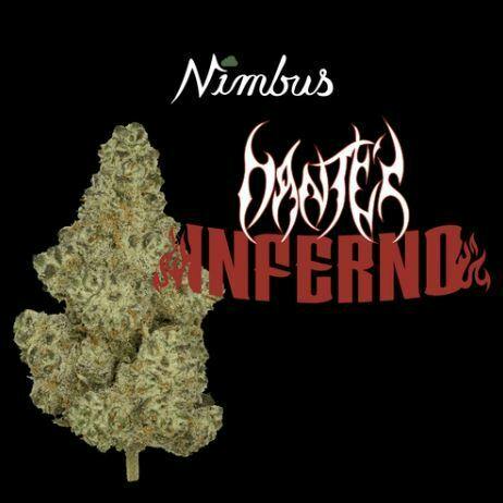Dante's Inferno Flower | 3.5g - Nimbus