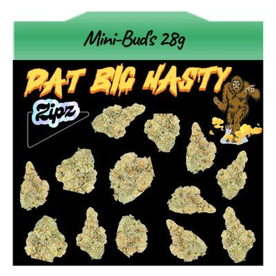 Dat Big Nasty Mini Buds | 28g - Zipz