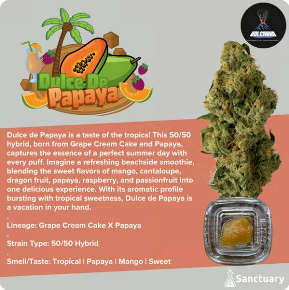 Dulce de Papaya Sauce | 4g - Volcanna