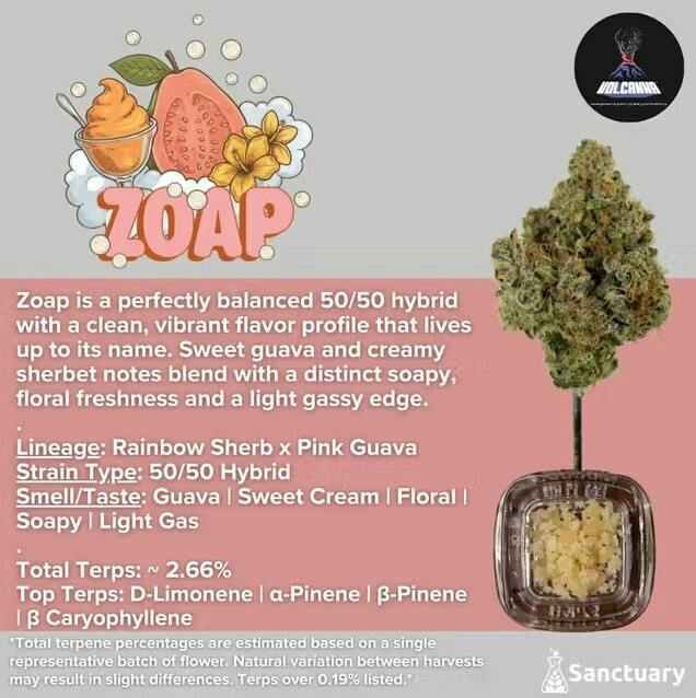 Zoap Crumble | 1g - Volcanna at Collective Premium Cannabis Billerica