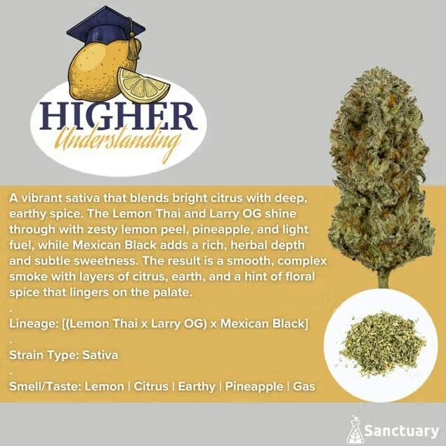 Higher Understanding Ground Shake | 7g - Sanctuary