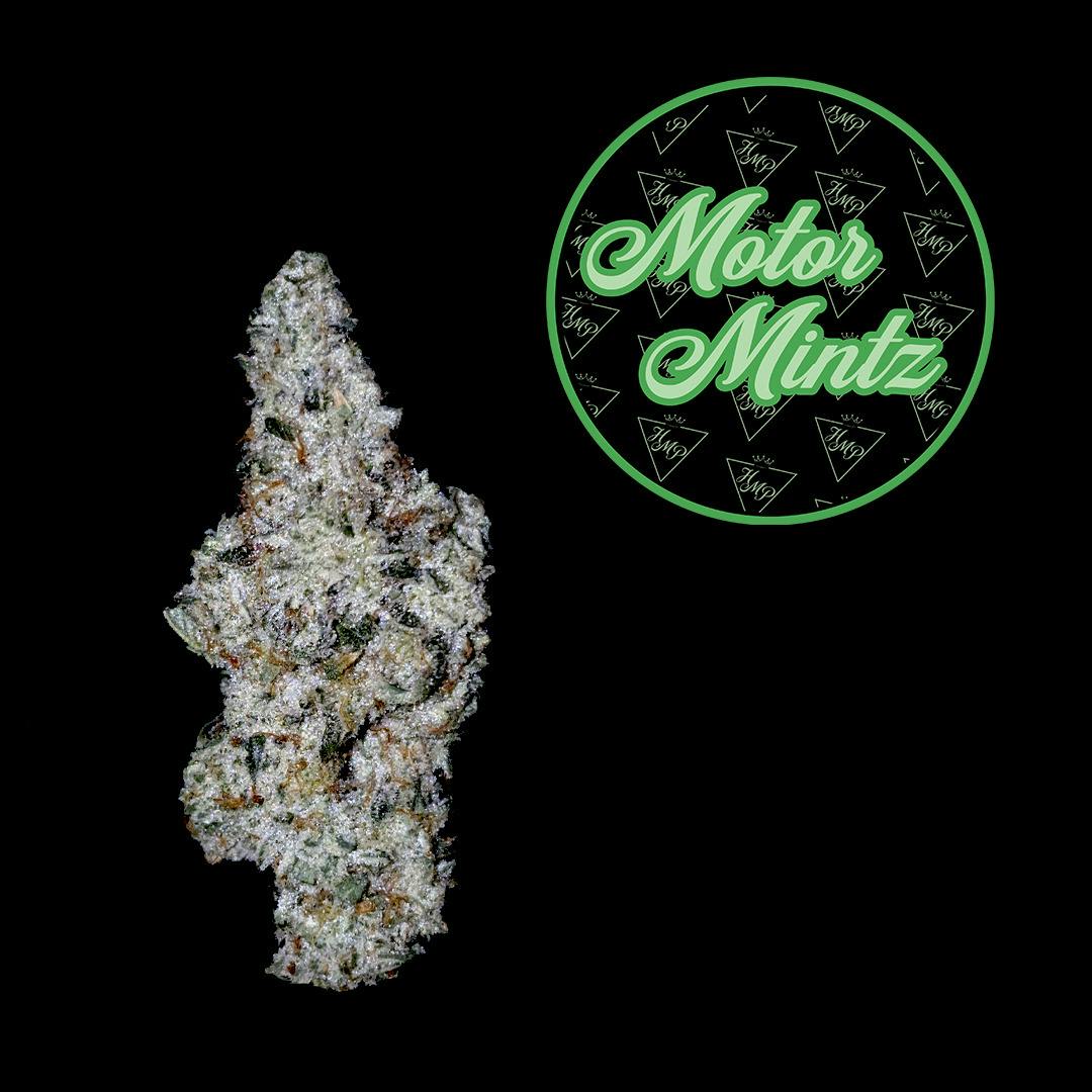 Motor Mintz Flower | 3.5g - Highmark Provisions