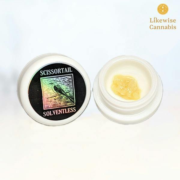 PAPAYA SPLASH 1G LIVE ROSIN BATTER - SCISSORTAIL SOLVENTLESS