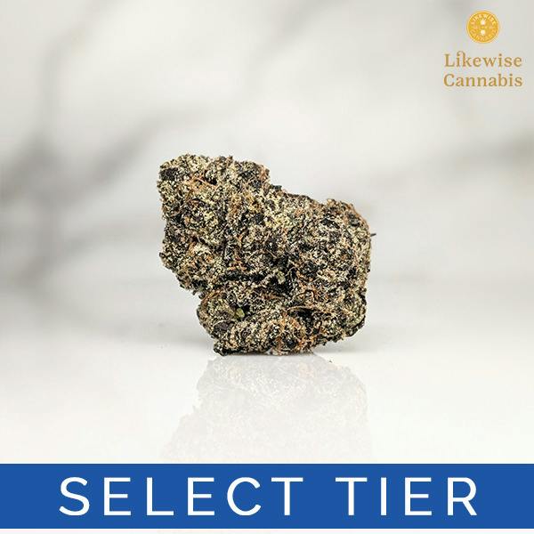 LEMON DIOR 3.5G - GREEN DYNASTY