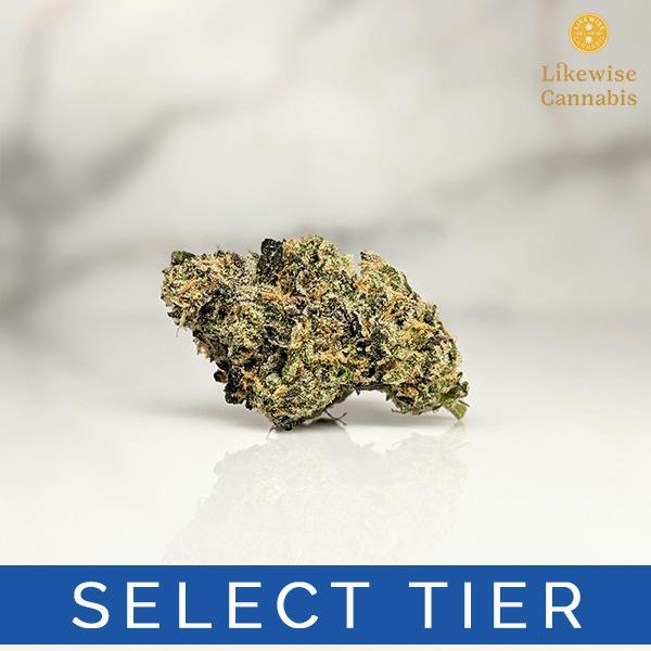 GIRL SCOUT COOKIES X SHERBET 3.5G - BANANA SEAT BOTANICALS