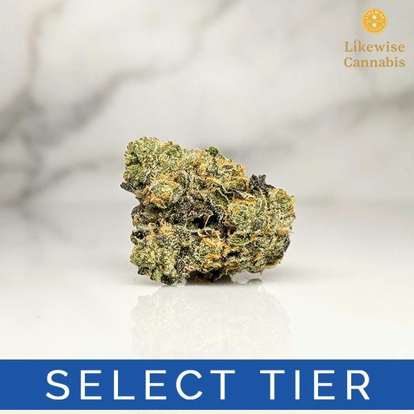 TAMALE'Z 3.5G - TERP BUNNY