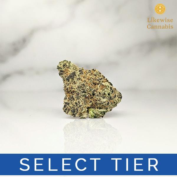 WHITE HOT GUAVA 3.5G - JIVE