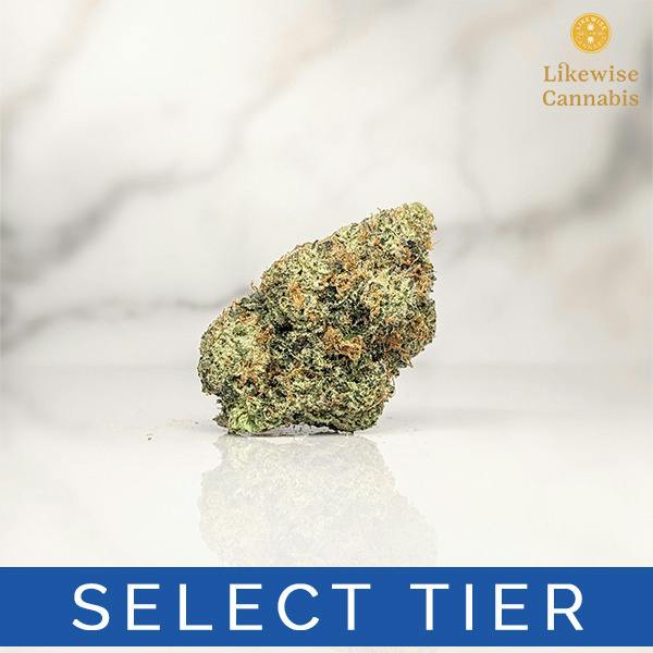 PIE SCREAM 4G - GRAM