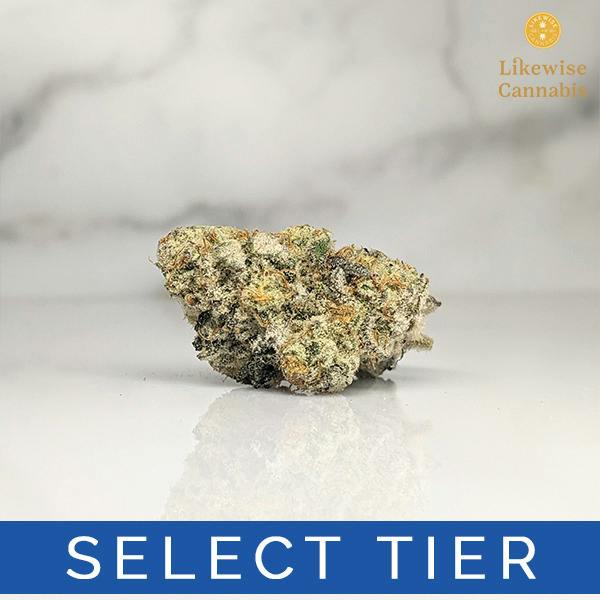 CAP JUNKY 3.5G - BANANA SEAT BOTANICALS
