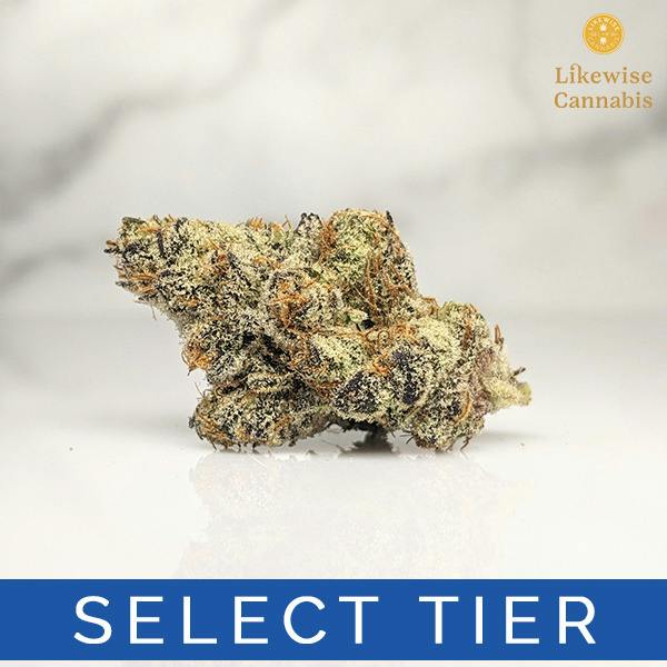 LARRY BIRD MINTZ 3.5G - FUNK'S GAS STATION