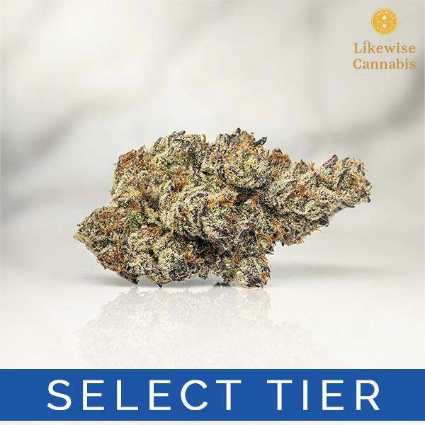 WHITE DEVIL 3.5G - FUNK'S GAS STATION