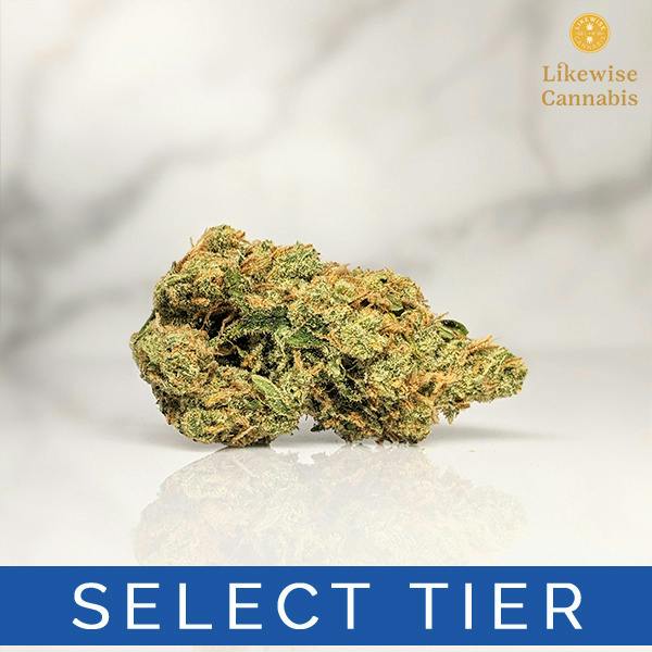 SUPER LEMON HAZE 3.5G - BANANA SEAT BOTANICALS